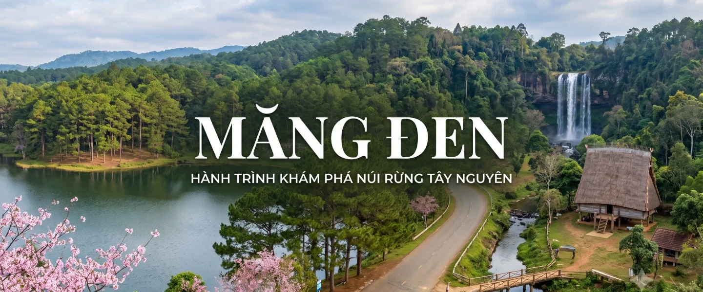 Tour du lịch
