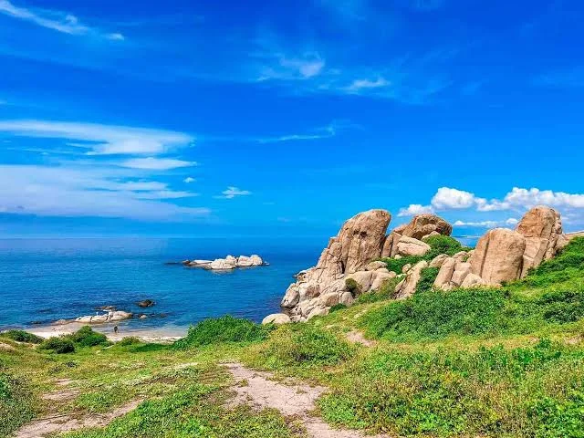 TOUR CÙ LAO CÂU